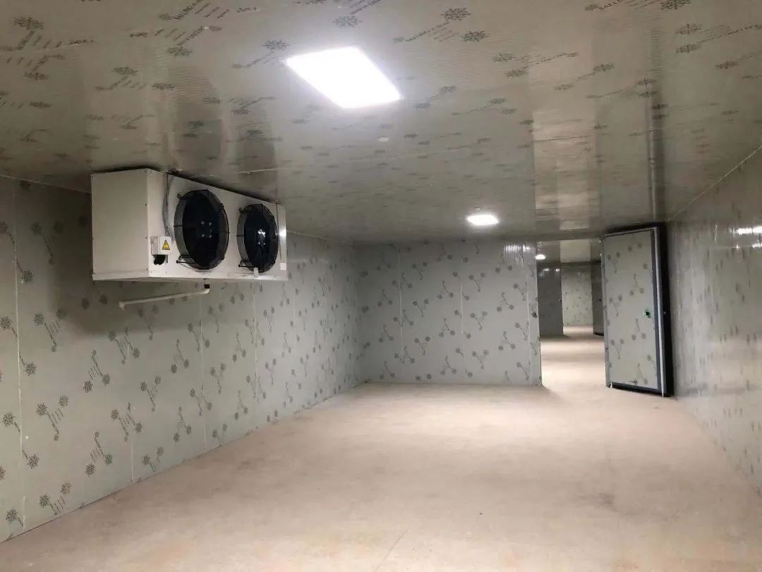 天镇气调保鲜冷库造价